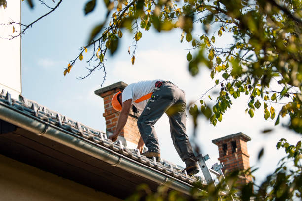 Best Roof Gutter Cleaning  in Whitewater, CA